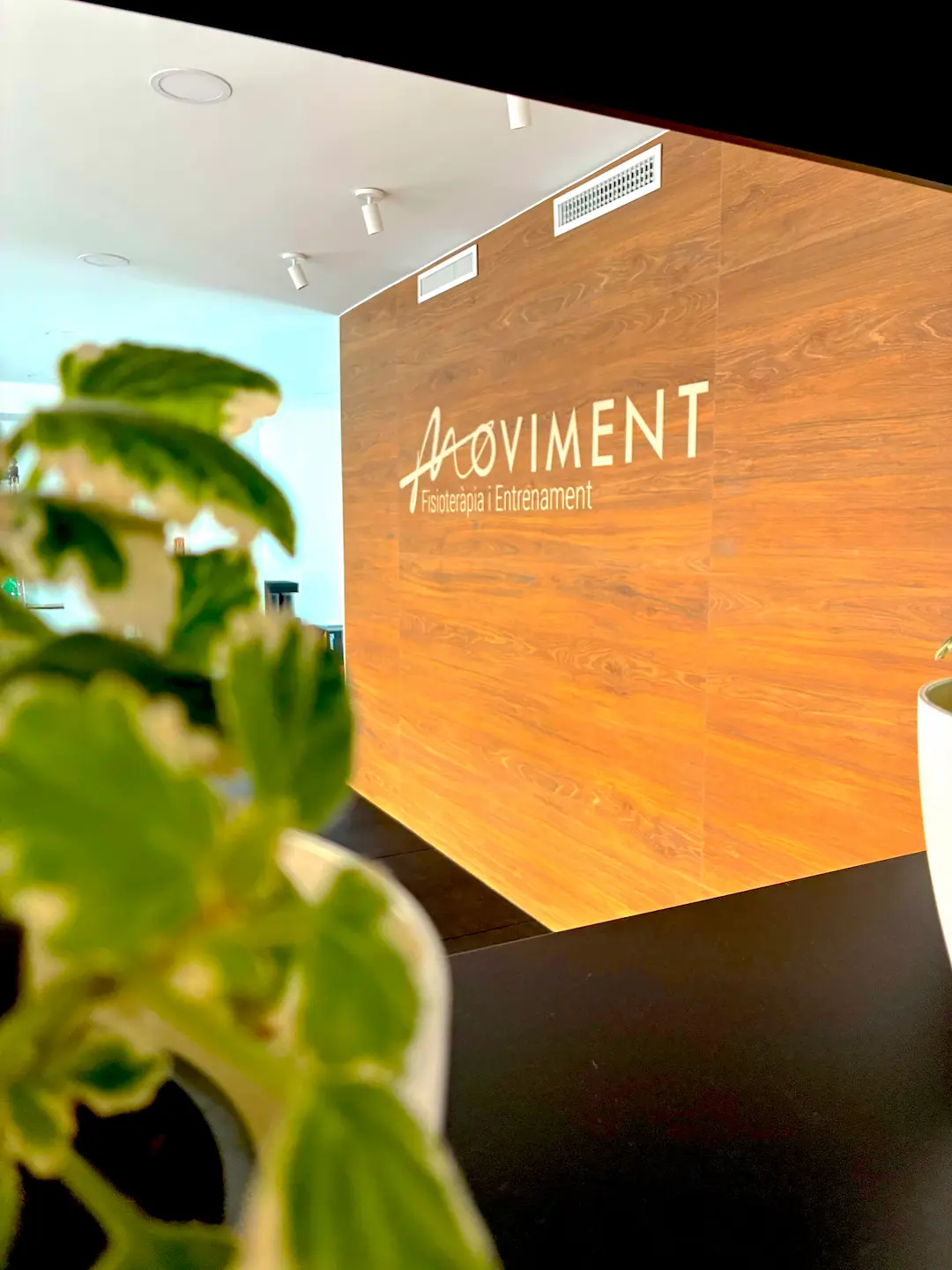 Sesión de entrenamiento y fisioterapia en Moviment Vila-real